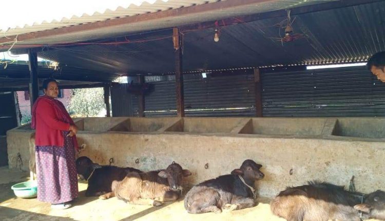 received_3452831798322190