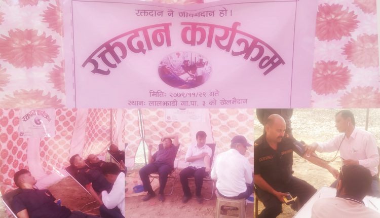 GridArt_20230313_190710587-01