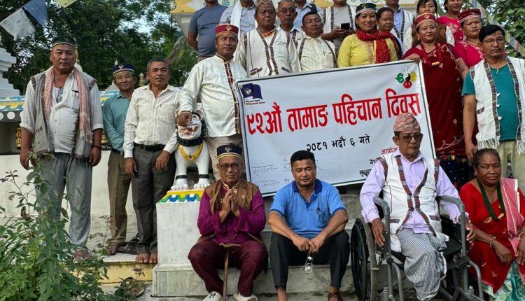 IMG-20240822-WA0006(1)